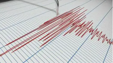 Última hora: terremoto de magnitud 7.4 sacude a México este viernes Última hora: terremoto de magnitud 7.4 sacude a México este viernes