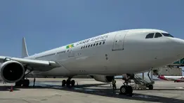 Laser Airlines suspende vuelos a Curazao: ofrece estas cinco alternativas