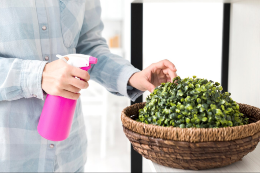 Plantas aromáticas contra los insectos: una alternativa natural para el hogar