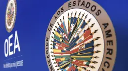La OEA confirma su apoyo para una transición política en Venezuela: esto dijo la organización