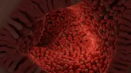 ¿Inflamación frecuente? La microbiota intestinal podría ser la causa
