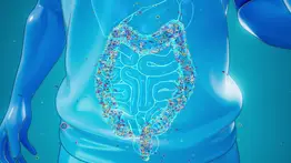 Serotonina: ese neurotransmisor presente en el cerebro y el colon 