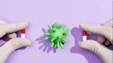 Hantavirus y gripe estacional: diferencias clave y cómo reconocer cada afección Hantavirus y gripe estacional: diferencias clave y cómo reconocer cada afección