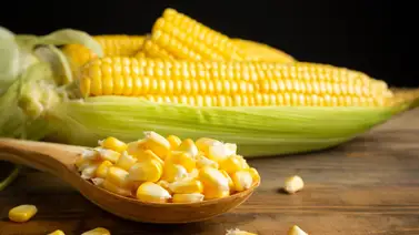 Receta para elaborar un delicioso postre: Solo necesitas un popular cereal típico en los platos venezolanos Receta para elaborar un delicioso postre: Solo necesitas un popular cereal típico en los platos venezolanos