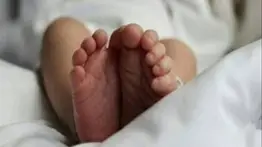 Revelan el estado de salud del bebé que fue abandonado: lo dejaron en una zona boscosa
