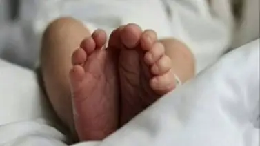 Revelan el estado de salud del bebé que fue abandonado: lo dejaron en una zona boscosa Revelan el estado de salud del bebé que fue abandonado: lo dejaron en una zona boscosa