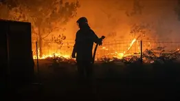 Francia pide apoyo de la UE para extinguir incendios forestales: más de 30 permanecen activos