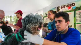 Misión Nevado ofrece consulta y vacunación gratuita para mascotas este 26 de julio: ubicación 