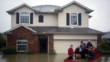 ¿Se te dañaron tus compras de SNAP por las lluvias en Texas? Sigue este paso a paso para reponer tus alimentos ¿Se te dañaron tus compras de SNAP por las lluvias en Texas? Sigue este paso a paso para reponer tus alimentos