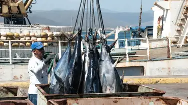 Ministerio de Pesca activa sistema digital para simplificar trámites de los trabajadores del mar Ministerio de Pesca activa sistema digital para simplificar trámites de los trabajadores del mar