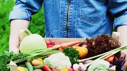 Atención Miami: puntos de distribución de frutas y hortalizas gratis para esta semana del 28 al 31 de julio