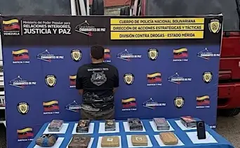 PNB incauta más de 470 kilos de droga y detiene a un hombre en la zona rural de Mérida
