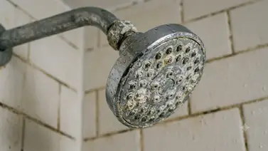 Método efectivo para eliminar el sarro de la regadera y recuperar la presión: adiós a los orificios tapados Método efectivo para eliminar el sarro de la regadera y recuperar la presión: adiós a los orificios tapados