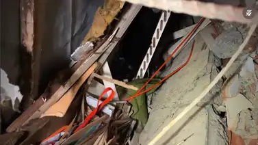 En imágenes: hallan con vida a gato que estuvo 34 días bajo escombros en La Guaira En imágenes: hallan con vida a gato que estuvo 34 días bajo escombros en La Guaira
