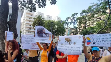 AN recibió la propuesta de "Ley Mariposa": busca endurecer las penas por maltrato animal AN recibió la propuesta de "Ley Mariposa": busca endurecer las penas por maltrato animal