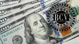 Dólar y euro BCV para este 31 de julio: así amanecen las divisas oficiales