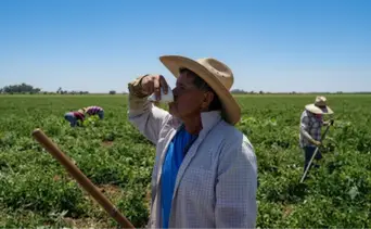 Protección laboral: sepa qué hacer si su empresa no le da agua ni sombra durante las olas de calor en California