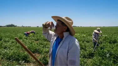 Protección laboral: sepa qué hacer si su empresa no le da agua ni sombra durante las olas de calor en California Protección laboral: sepa qué hacer si su empresa no le da agua ni sombra durante las olas de calor en California