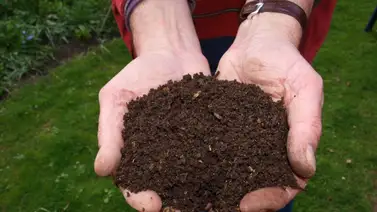 ¿Compost o Bokashi? La técnica japonesa que acelera el abono casero en tiempo récord ¿Compost o Bokashi? La técnica japonesa que acelera el abono casero en tiempo récord