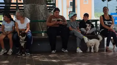 Jornada gratuita de atención de mascotas en Petare el 1 de agosto: servicios a ofrecer Jornada gratuita de atención de mascotas en Petare el 1 de agosto: servicios a ofrecer