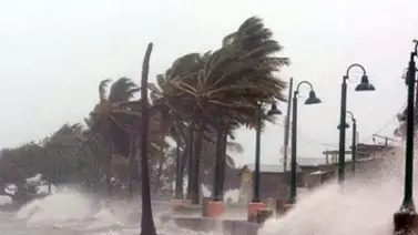 Florida| Tormenta Debby se convierte en huracán categoría 1 Florida| Tormenta Debby se convierte en huracán categoría 1