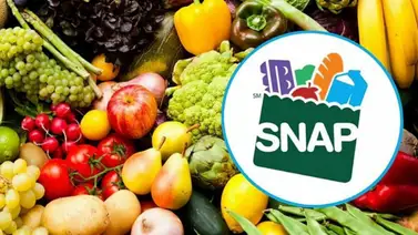 beneficios snap donald ttrump beneficios snap donald ttrump