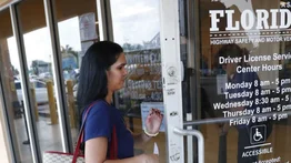 licencia de conducir florida renovar