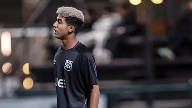 El hermoso gesto de un futbolista inglés con un gato que entró a la cancha El hermoso gesto de un futbolista inglés con un gato que entró a la cancha