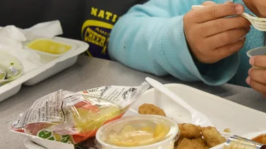 ¿Dónde conseguir alimentos gratis este verano en Florida? (+Detalles)