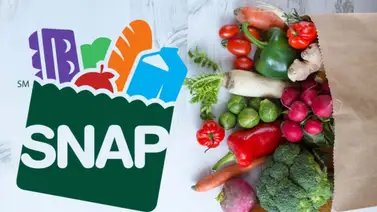 snap florida snap florida