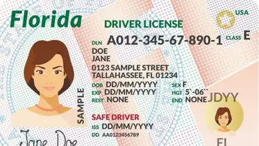 Florida anuncia cambios en la licencia de conducir a partir de agosto (+DETALLES) Florida anuncia cambios en la licencia de conducir a partir de agosto (+DETALLES)
