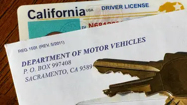 Florida | Esta es la modificación que tendrán las licencias de conducir a partir de este #1Ago Florida | Esta es la modificación que tendrán las licencias de conducir a partir de este #1Ago