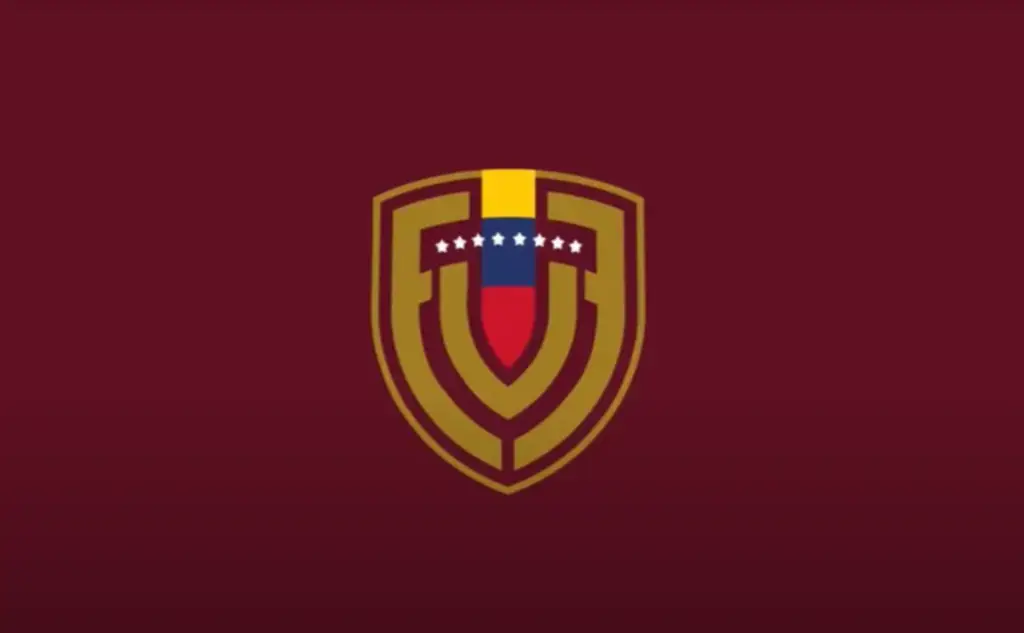 Vinotintos reaccionan a los resultados electorales del 28 de julio