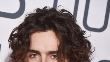 Timothée Chalamet se transforma en Bob Dylan para su nuevo proyecto (+Video)