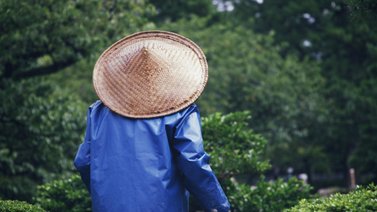 EEUU: En Texas solicitan jardineros ante escasez de mano de obra