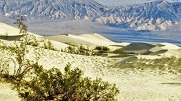 Turista sufrió quemaduras severas en sus pies tras un paseo en las dunas de California