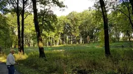 EEUU: Este pueblito de Illinois está considerado uno de los mejores para vivir