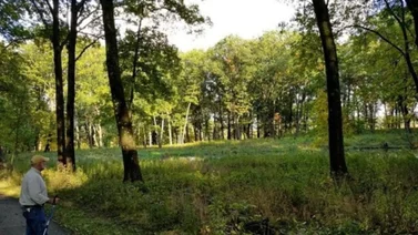 EEUU: Este pueblito de Illinois está considerado uno de los mejores para vivir