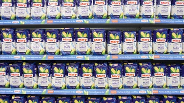 Mary presenta su nueva harina de maíz blanco