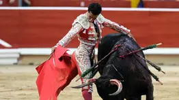 Petro sanciona la ley que prohíbe corridas de toros en Colombia