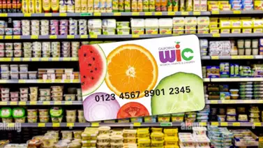 EEUU| Programa de asistencia alimentaria WIC: Sepa quién aplica y cómo acceder EEUU| Programa de asistencia alimentaria WIC: Sepa quién aplica y cómo acceder