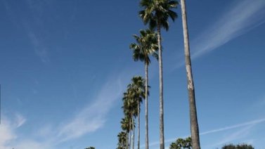 EEUU: La ciudad de Texas considerada la más barata para vivir