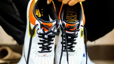 Conoce los cinco animales que más suelen esconderse en tus zapatos (+Detalles) Conoce los cinco animales que más suelen esconderse en tus zapatos (+Detalles)