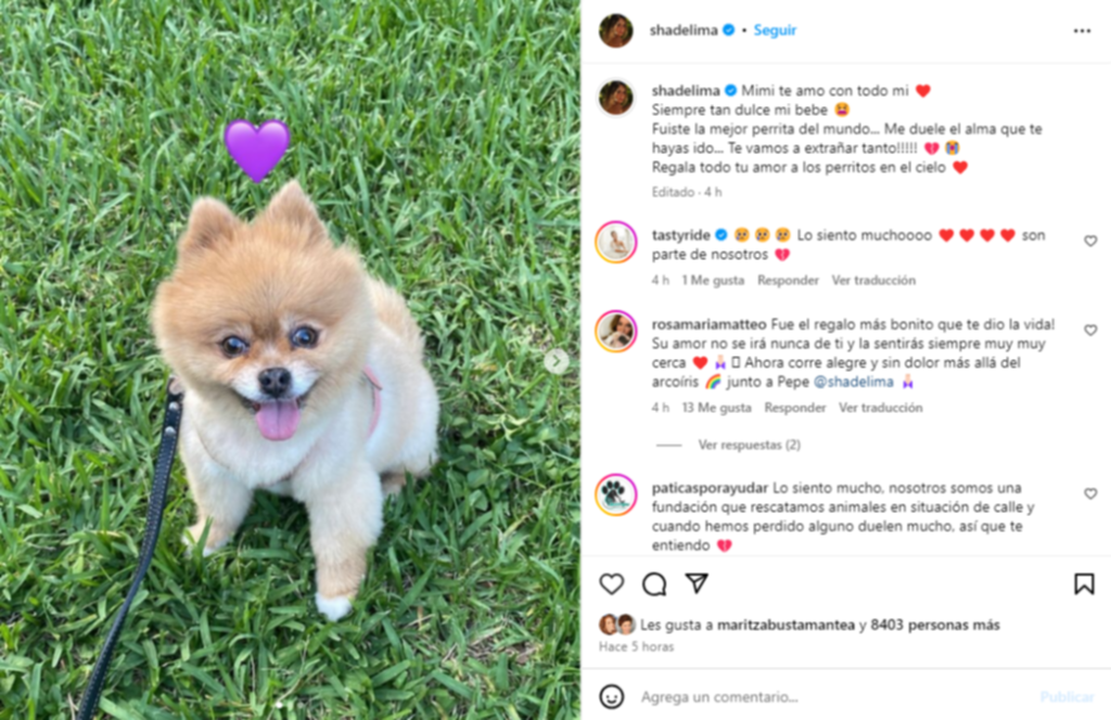 Shannon De Lima llora la pérdida de un ser querido