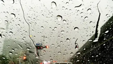 Texas | Pronóstico del clima alerta sobre tormentas en el sureste: Esto es lo que se sabe Texas | Pronóstico del clima alerta sobre tormentas en el sureste: Esto es lo que se sabe