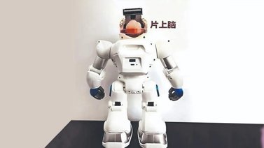 Fabrican un robot con cerebro hecho a partir de células madre humanas (+Detalles)