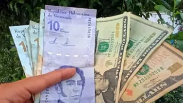 ANSA propone la creación de un día sin IVA (+Detalles) ANSA propone la creación de un día sin IVA (+Detalles)