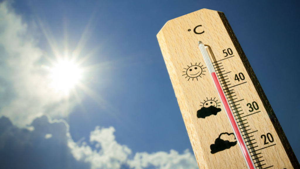 EEUU | Inician investigaciones tras muertes por altas temperaturas EEUU | Inician investigaciones tras muertes por altas temperaturas