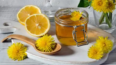 Estos son los beneficios de beber infusión de diente de león después de comer Estos son los beneficios de beber infusión de diente de león después de comer