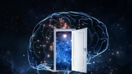 Entérate qué tipo de mente tienes según tu forma de actuar